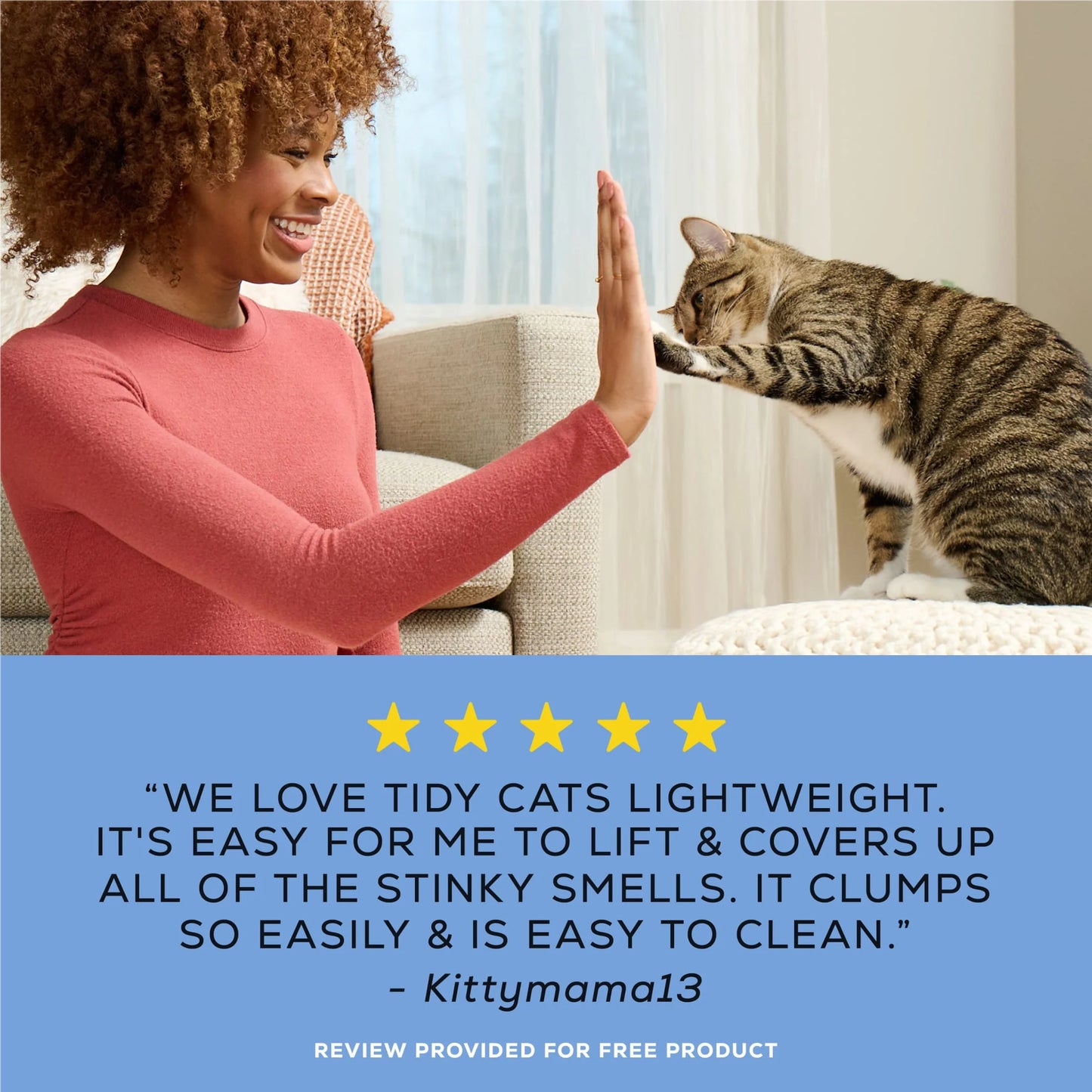 Purina  Lightweight 24/7 Performance Odor Control Clumping Cat Litter