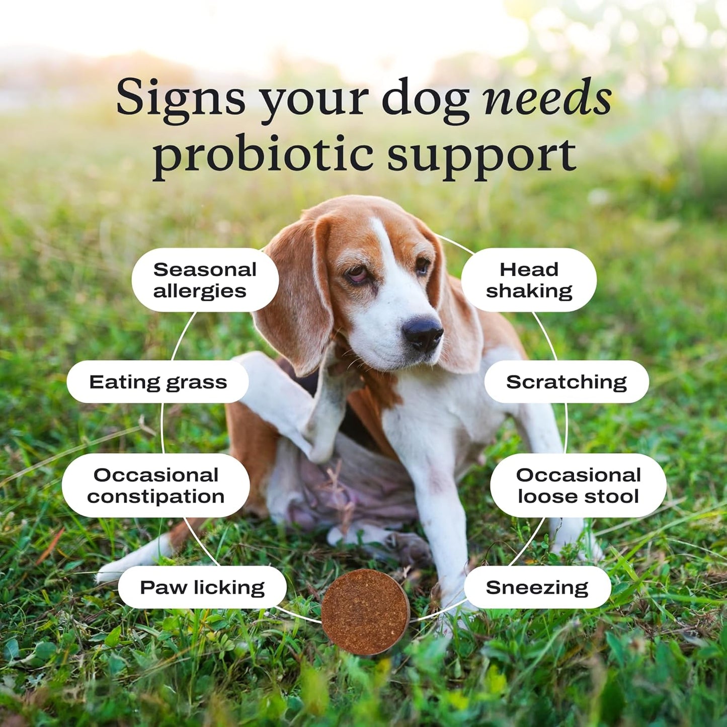 Probiotics for Dogs, Support Gut Health, Occasional Diarrhea, Digestive Health & Seasonal Allergies - Pork Flavor - 30 Soft Chews - Packaging May Vary