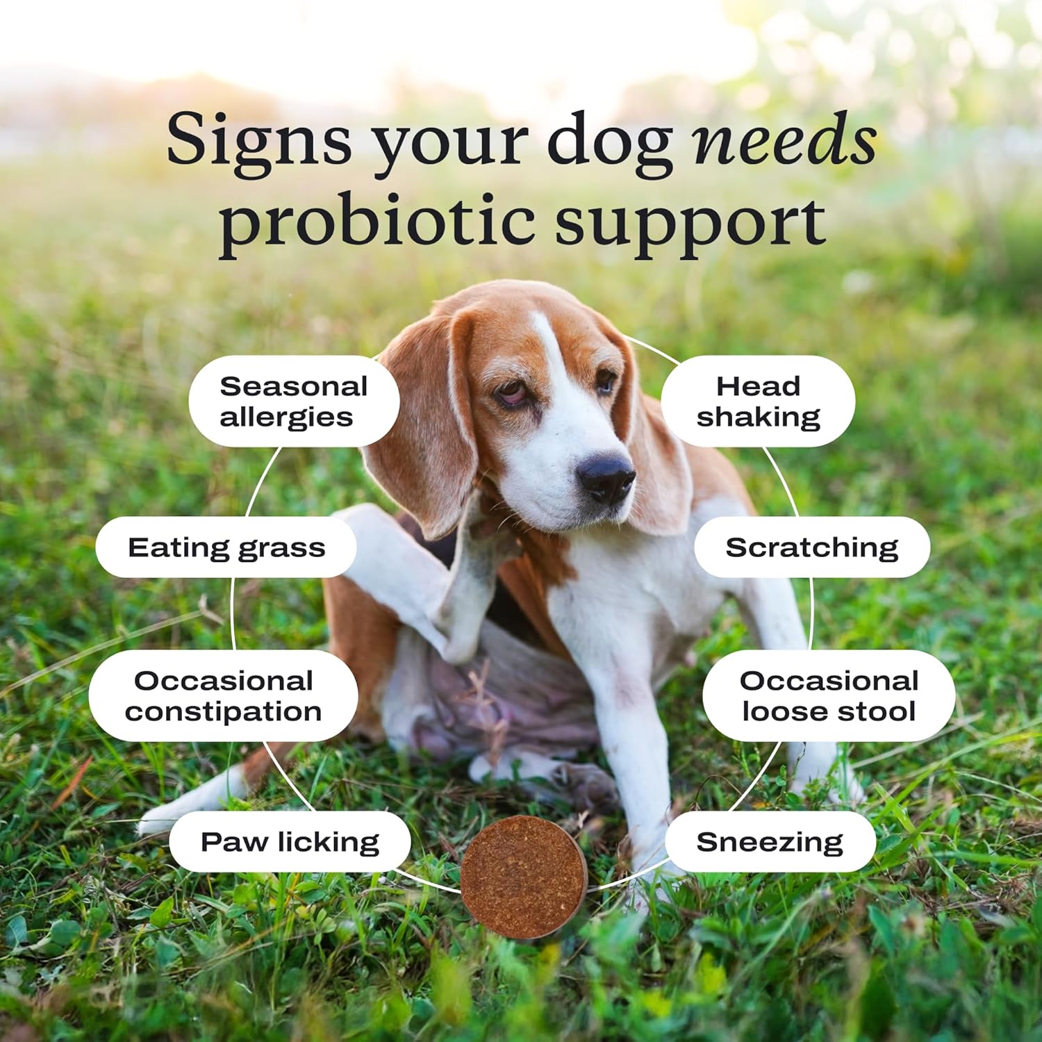 Probiotics for Dogs, Support Gut Health, Occasional Diarrhea, Digestive Health & Seasonal Allergies - Pork Flavor - 30 Soft Chews - Packaging May Vary