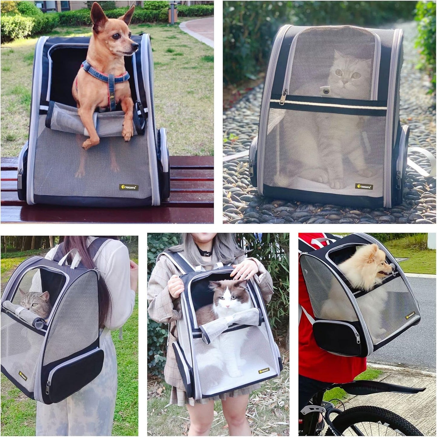 Innovative Traveler Bubble Backpack Pet Carriers for Cats and Dogs (Black)