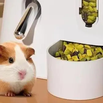 Leak Proof Food Feeding Supplies 2 In1 Hamster Feeder and Waterer Large Capacity Leakproof Automatic Feeder Food Water Dispenser