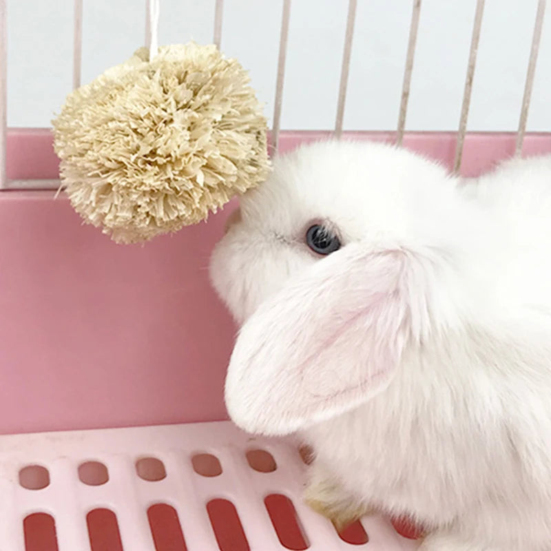 Small Pet Chew Toys Hay Treats for Guinea Pig Rabbit Hamster Gerbil Teeth Cleaning Toys Teething Stick Toy Set Pet Supplies