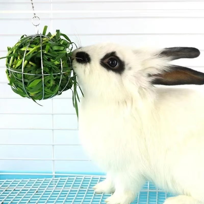 Round Sphere Feed Dispenser Suspendable Plated Hay Rack Ball Pet Toy Guinea Pig Hamster Rabbit Grass Hanging Ball Toy